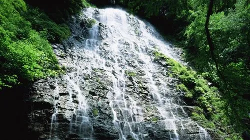 高质量稳定性